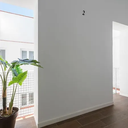 Dona Blanca Centro Diseno Minimalista Jerez de la Frontera