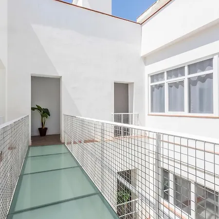 Dona Blanca Centro Diseno Minimalista *