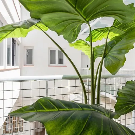 Apartman Dona Blanca Centro Diseno Minimalista Jerez de la Frontera