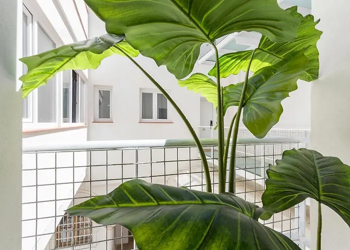 아파트 Dona Blanca Centro Diseno Minimalista 헤레스