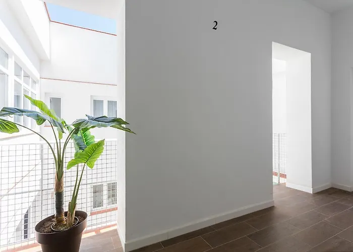 Dona Blanca Centro Diseno Minimalista 헤레스